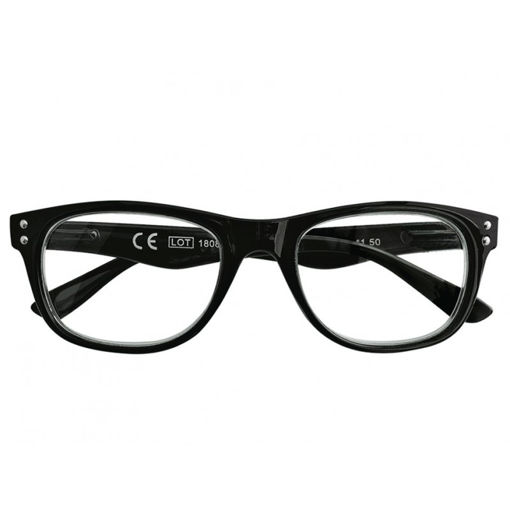 Picture of ZIPPO READING GLASSES +2.50